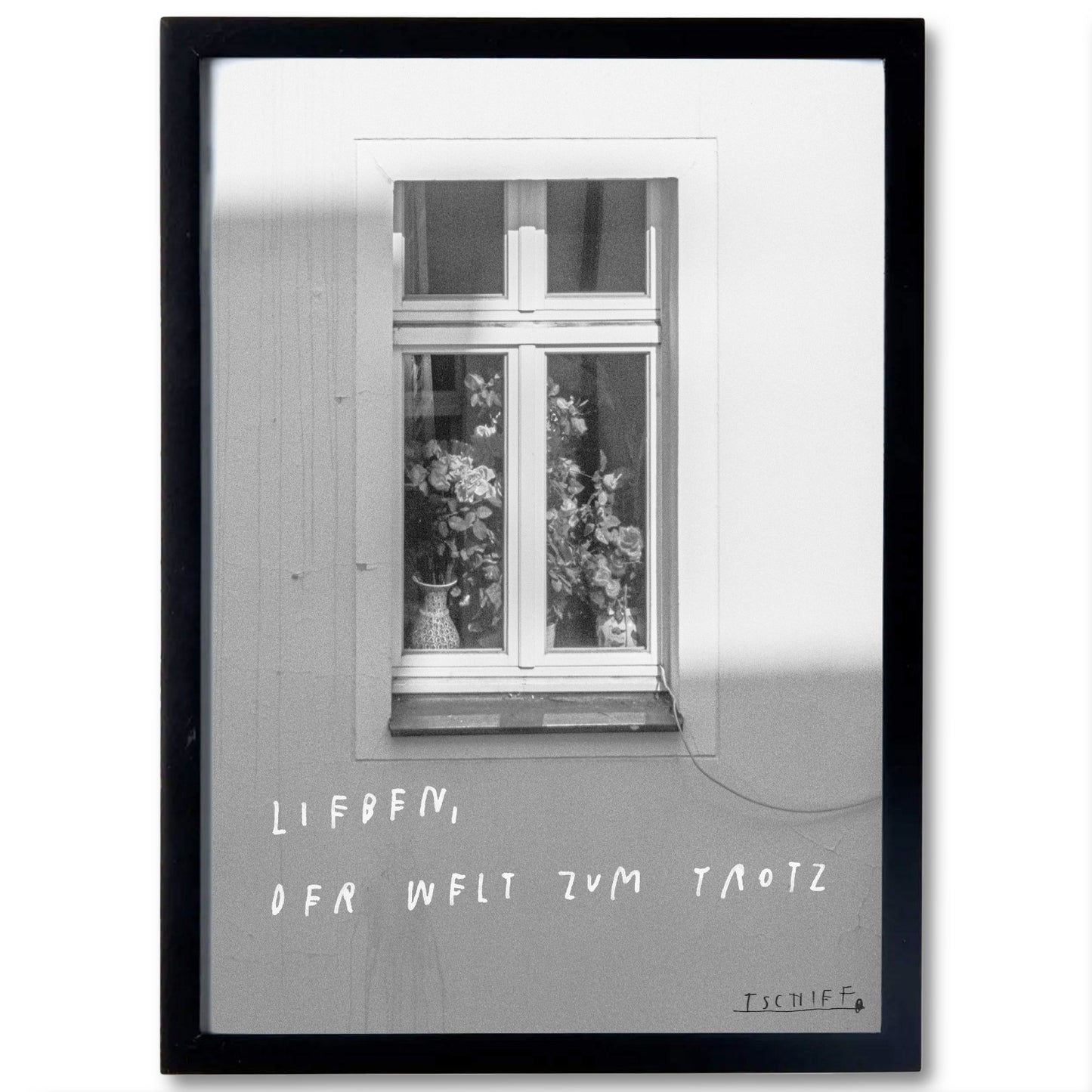 FENSTER [PRINT]